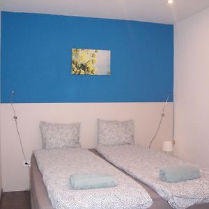 Uitgebreide Kamer met een King Size Bed